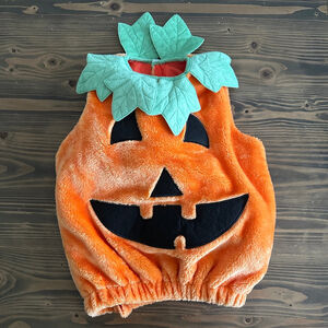 Orange Pumpkin Halloween Costume One Size with Green Leaf Detail jack o lantern